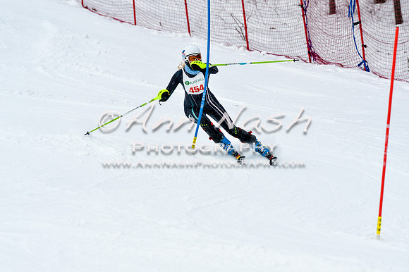 2016 January 22 alpine DSC_1223