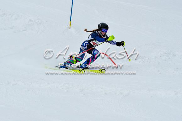 2016 January 22 alpine DSC_1069