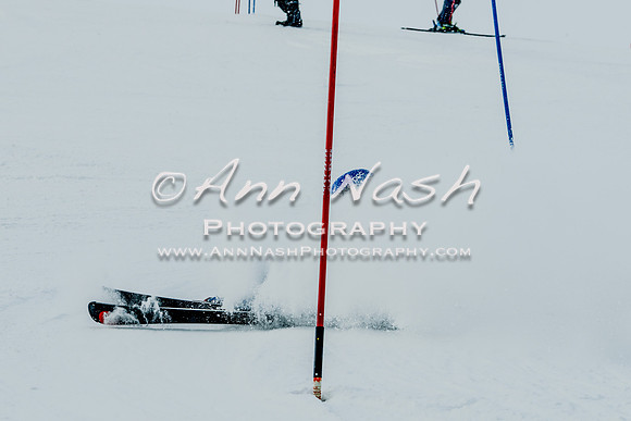 2016 February 14 alpine DSC_7244-2
