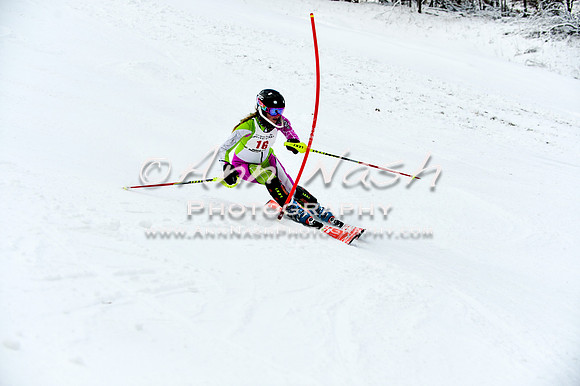 2015 December 18 alpine DSC_9630