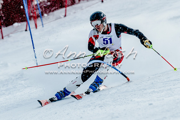 2016 February 14 alpine DSC_7028