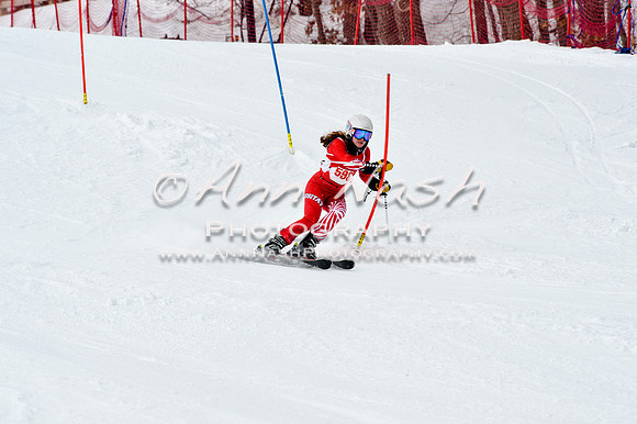 2016 January 22 alpine DSC_1963