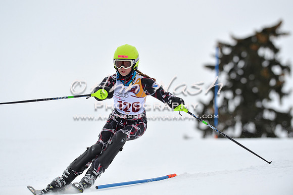alpine_2015-02-14_13-14-15_DSC_8110_©AnnNashPhotographyLLC_2015