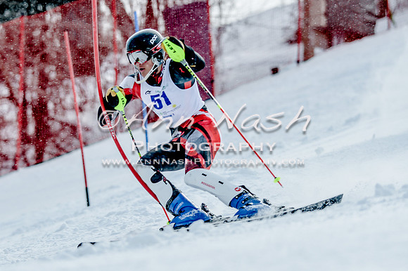 2016 February 14 alpine DSC_7030