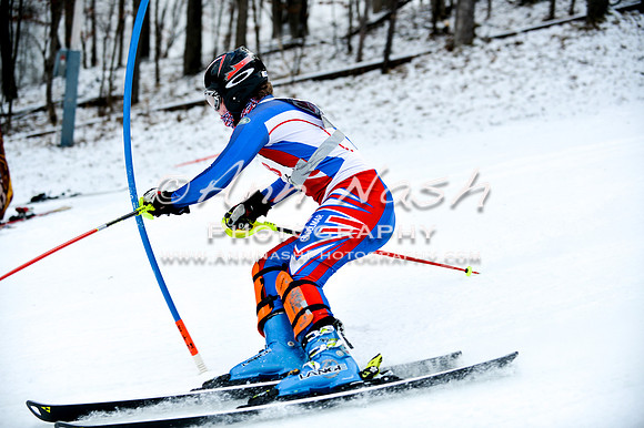 2015 December 18 alpine DSC_9838
