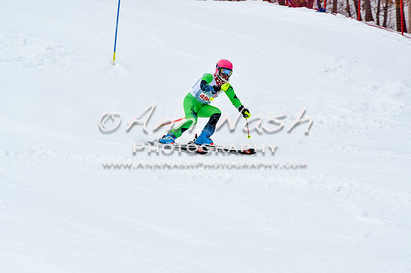 2016 January 22 alpine DSC_1278