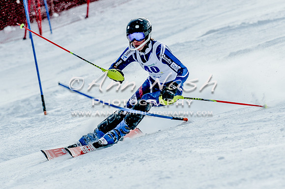 2016 February 14 alpine DSC_7003