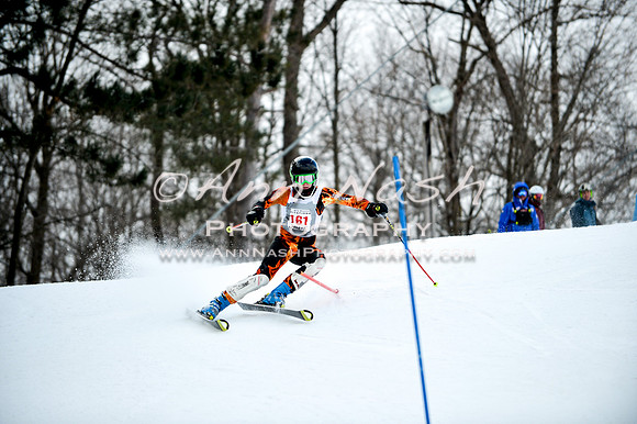 2015 December 18 alpine DSC_9684