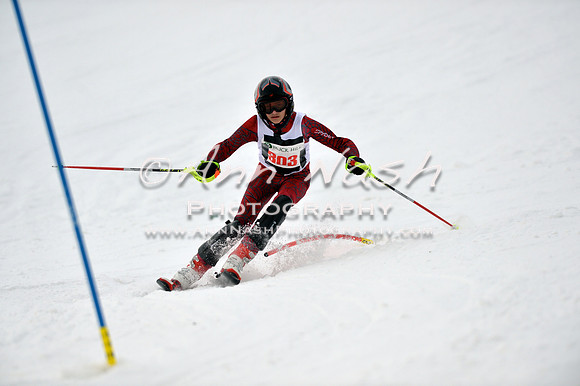 alpine_2015-01-22_12-07-09_DSC_1179_©AnnNashPhotographyLLC_2015