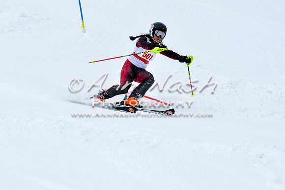 2016 January 22 alpine DSC_0683