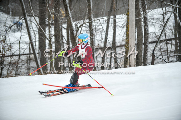 2015 December 18 alpine DSC_9319