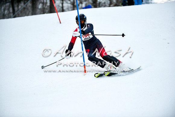 2015 December 18 alpine DSC_9856