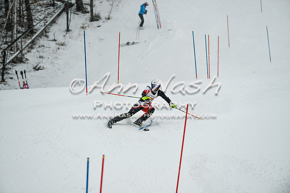 2015 December 18 alpine DSC_9217