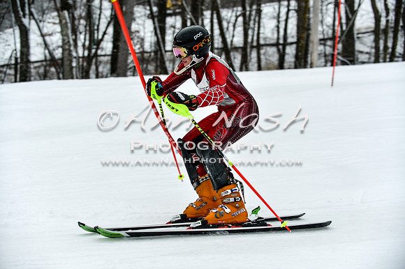 2015 December 18 alpine DSC_9344