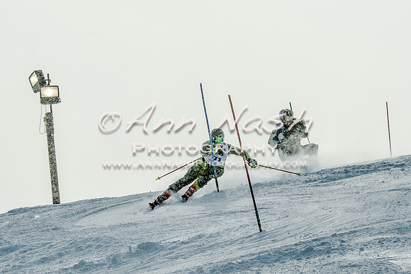 2016 February 14 alpine DSC_7349