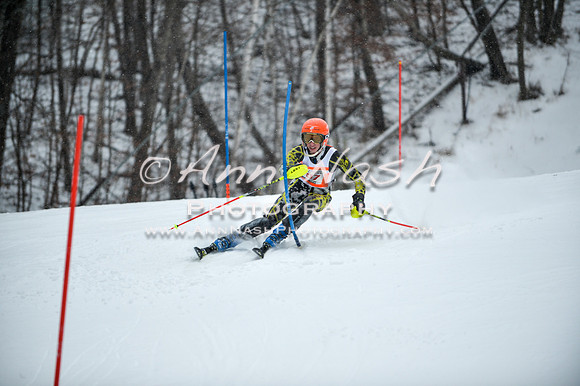 2015 December 18 alpine DSC_9004