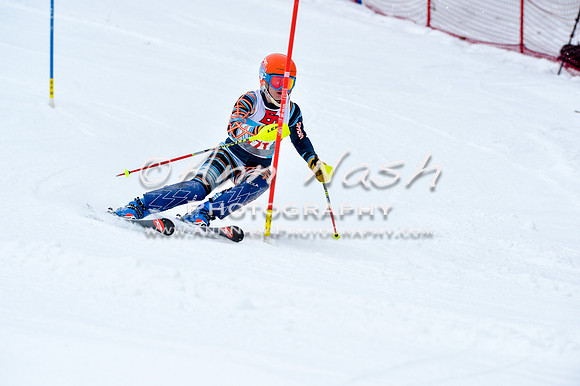 2016 January 22 alpine DSC_0647