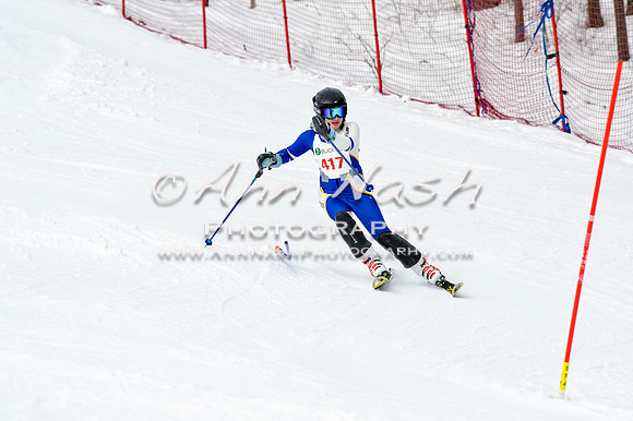 2016 January 22 alpine DSC_1731