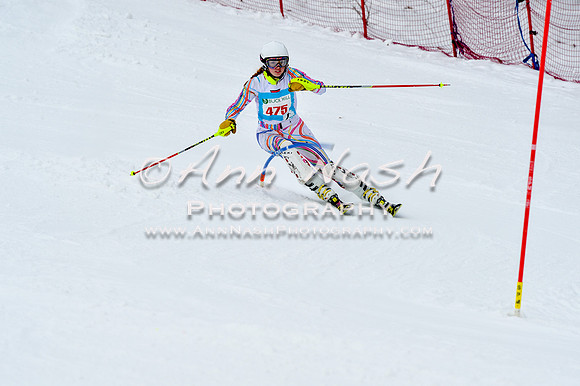 2016 January 22 alpine DSC_1461