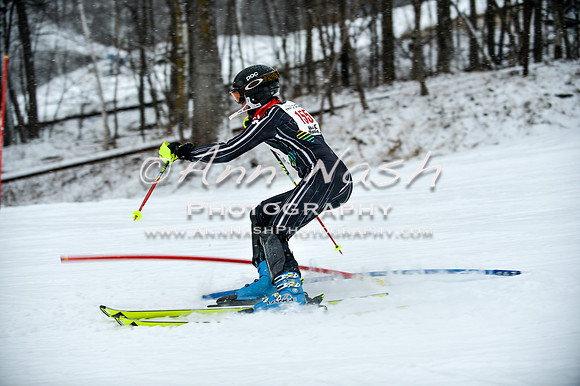 2015 December 18 alpine DSC_8987
