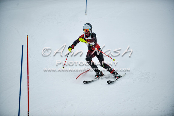 2015 December 18 alpine DSC_8955