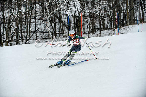 2015 December 18 alpine DSC_9333