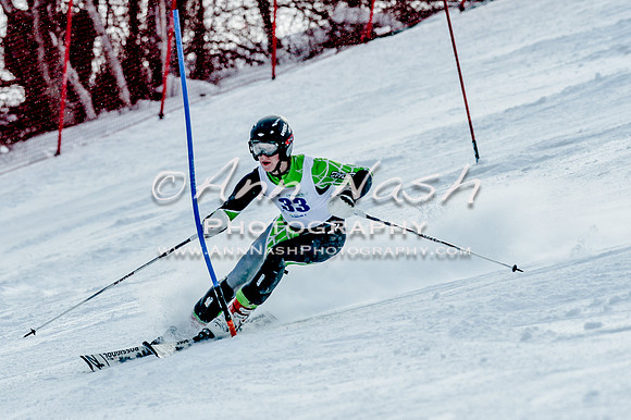 2016 February 14 alpine DSC_6884