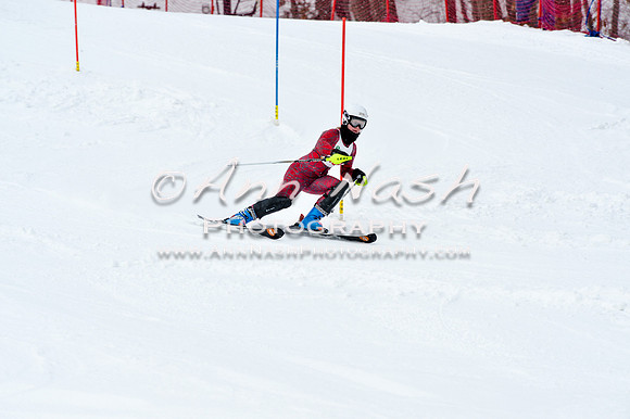 2016 January 22 alpine DSC_1201