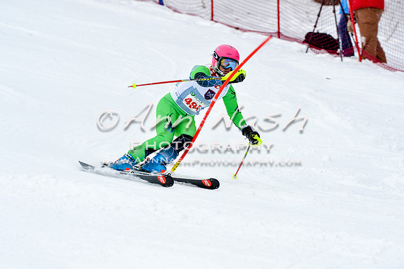 2016 January 22 alpine DSC_1281