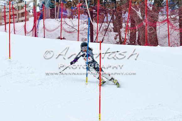2016 January 22 alpine DSC_0696