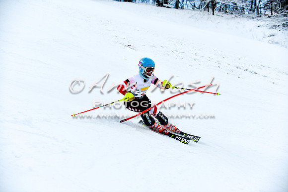 2015 December 18 alpine DSC_9792