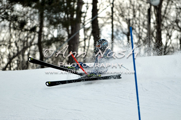 2015 December 18 alpine DSC_9952