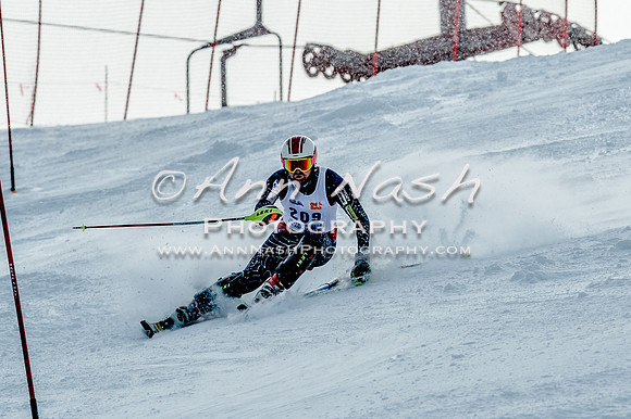 2016 February 14 alpine DSC_7168