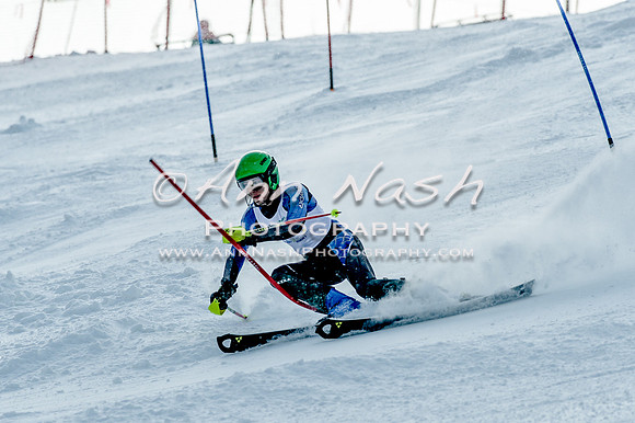 2016 February 14 alpine DSC_6648