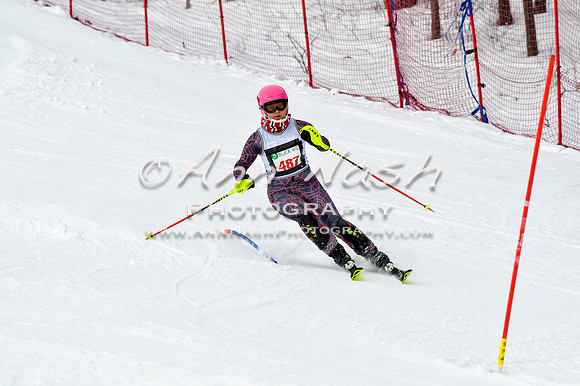 2016 January 22 alpine DSC_1774