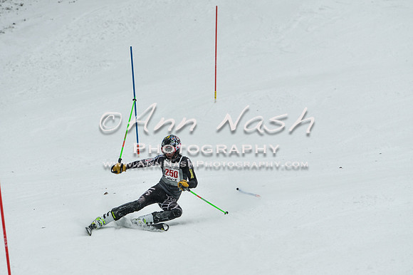 2015 December 18 alpine DSC_9402