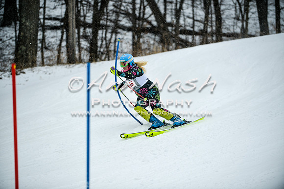 2015 December 18 alpine DSC_9072
