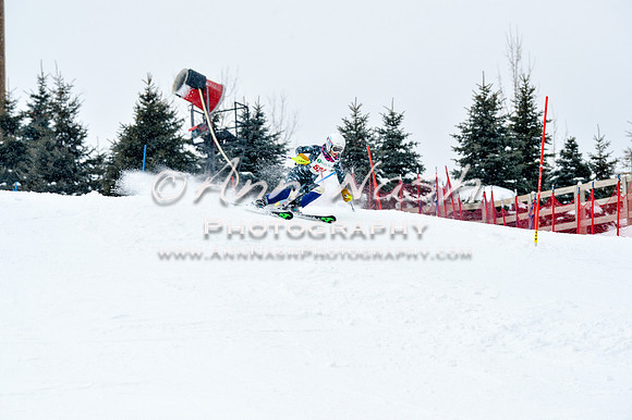 2016 January 22 alpine DSC_1303