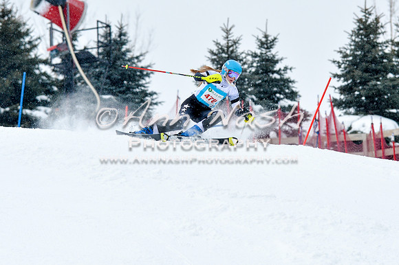 2016 January 22 alpine DSC_0845
