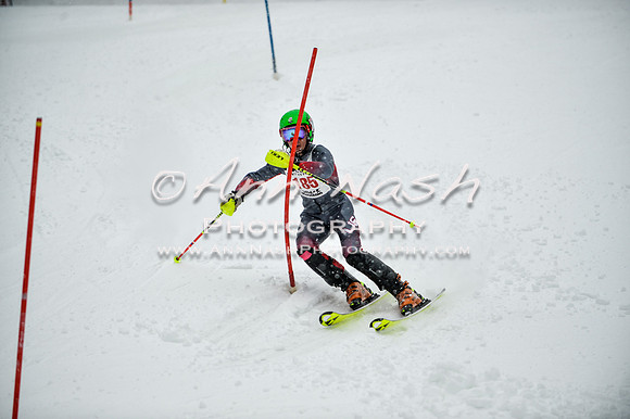 2015 December 18 alpine DSC_9171