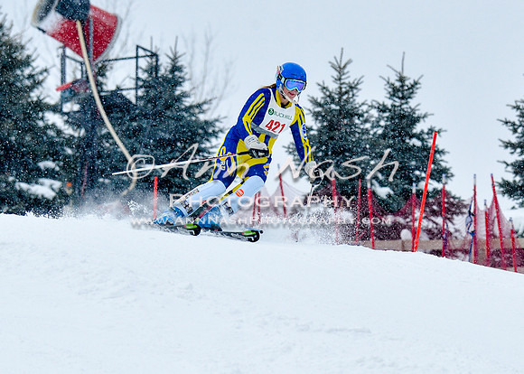 2016 January 22 alpine DSC_0571