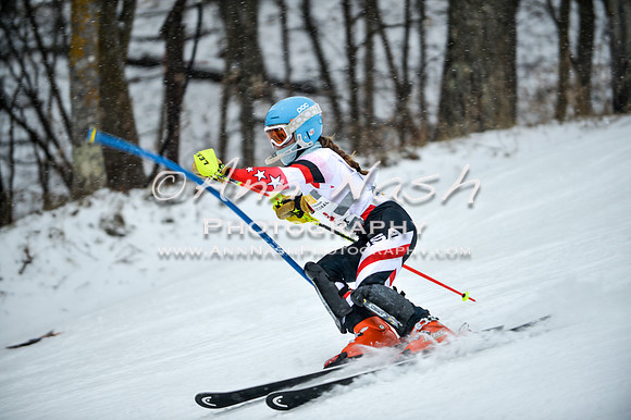 2015 December 18 alpine DSC_8962