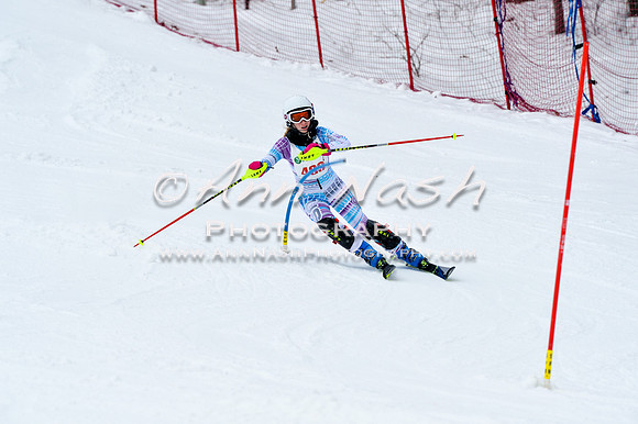 2016 January 22 alpine DSC_1015
