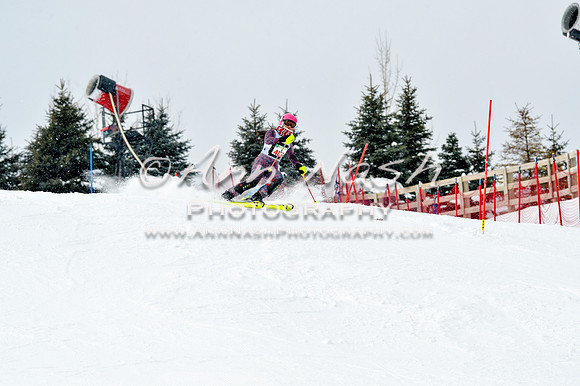 2016 January 22 alpine DSC_1772