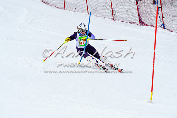 2016 January 22 alpine DSC_1057