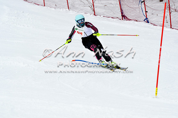 2016 January 22 alpine DSC_1576