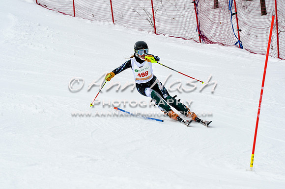 2016 January 22 alpine DSC_1912