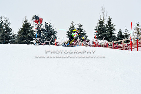 2016 January 22 alpine DSC_1543