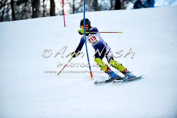 2015 December 18 alpine DSC_0060
