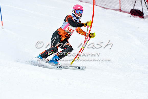 2016 January 22 alpine DSC_1312